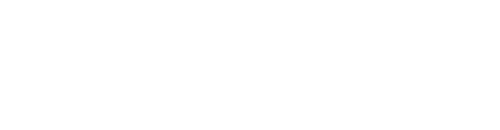 logo-psychologue-limoge-christophoe-Lys-BLANC